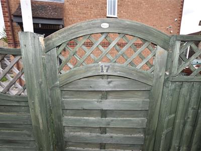Picture 28